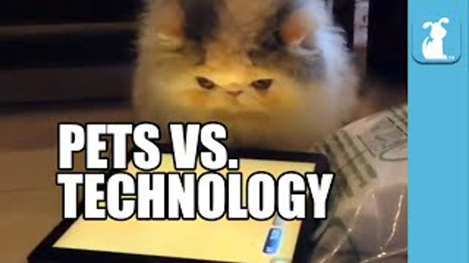 Pets Vs. Technology (Funny Compilation!)
