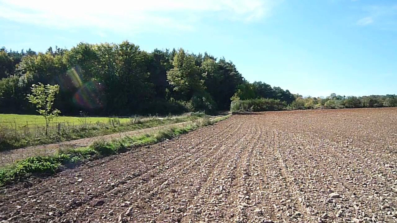 Puel - Cardabelles 2015 - Es3