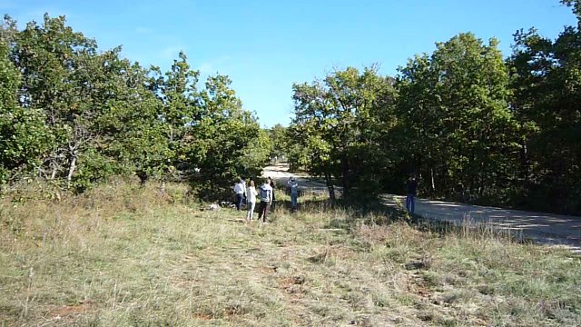 Baud - Cardabelles 2015 - Es4