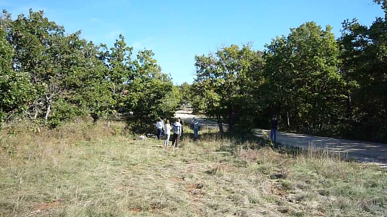 Baud - Cardabelles 2015 - Es4