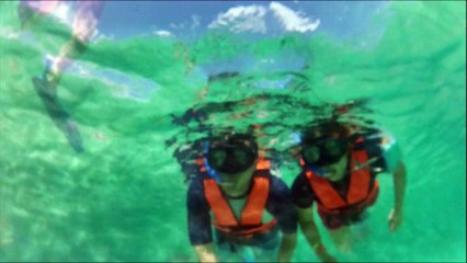 Akumal Cancun Snorkeling Tour