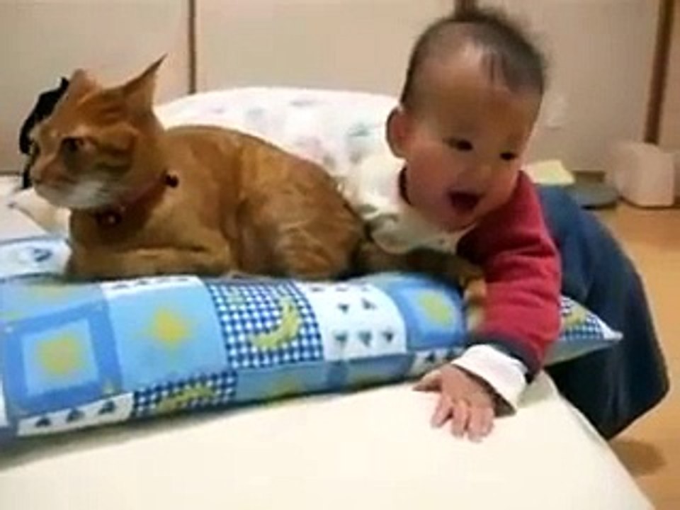 La Paciencia De Un Gato Con Un Bebe ★ humor gatos - video divertido gatos chistosos risa g