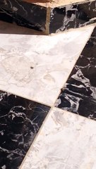 l'araignée et la mouche