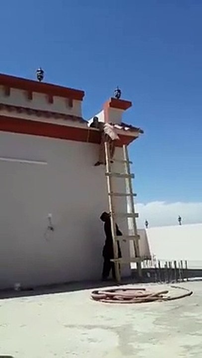 SomeTimes This Also Happend (Wait On Roof )