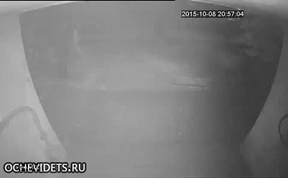 В Казахстане жестоко избили известную журналистку и блогера