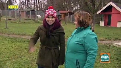 Скачать видео: Anna und die Haustiere - Hund