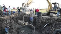 Farmer unearths woolly mammoth skull, tusks and bones in Lima Township field