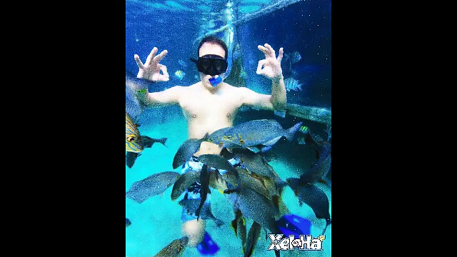 CANCUN & PLAYA DEL CARMEN 2015