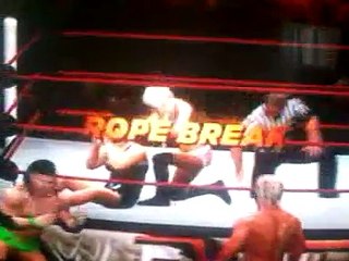 Wwe Kelly Kelly vs Vickie gerraro divas champion--9f8pZvKsmU