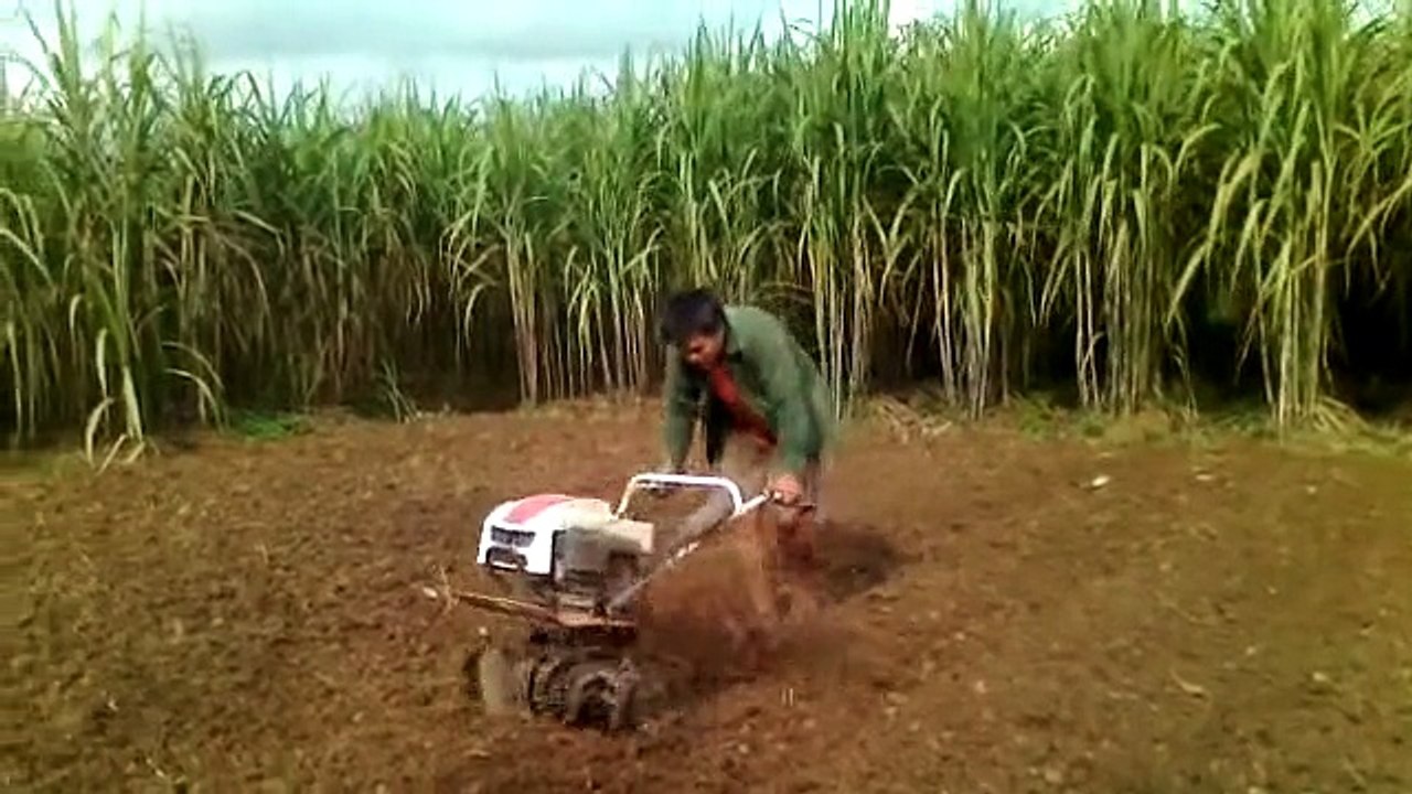 Máy làm đất đa năng trâu vàng đang rạch rãnh