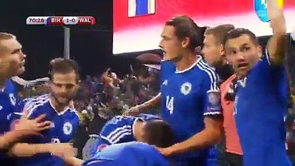 BOSNIA-HERZEGOVINA 2-0 WALES (GROUP B) - HD