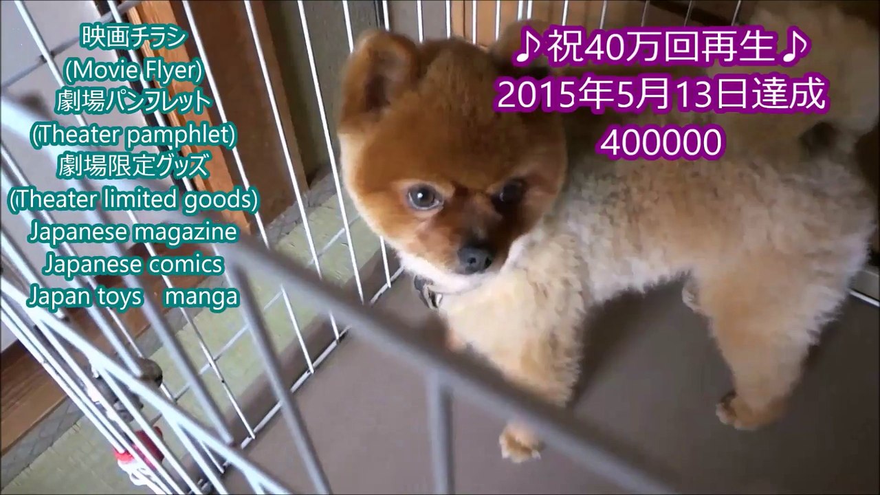 図書館戦争 THE LAST MISSION 劇場限定グッズ Theater limited goods 2015.10.10.