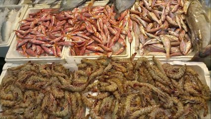 Picking out Fish for Dinner - Bodrum, Turkey (2015) - Short (Documentary)