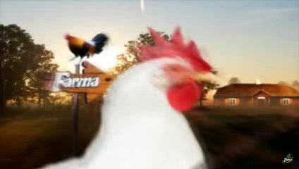 Maja Aci  - "Ti nemas stav" - Farma 6