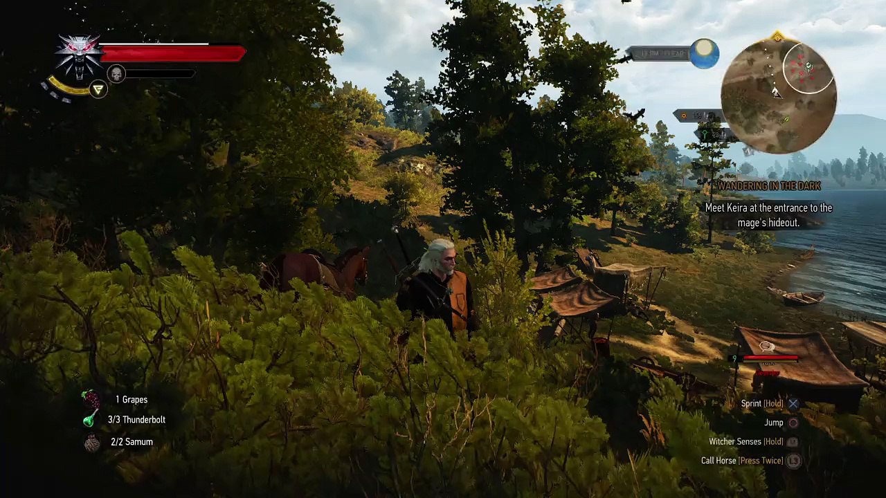 The Witcher 3: Wild Hunt_kibbles and bits