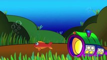 Çizgi film PEPE - Pepe ve Turuncu Yengeç (Deniz canlıları)