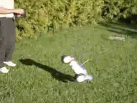 Inferno st us 1/8 truggy