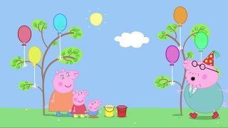 Peppa Pig - Daddy Pigs Birthday (Clip)