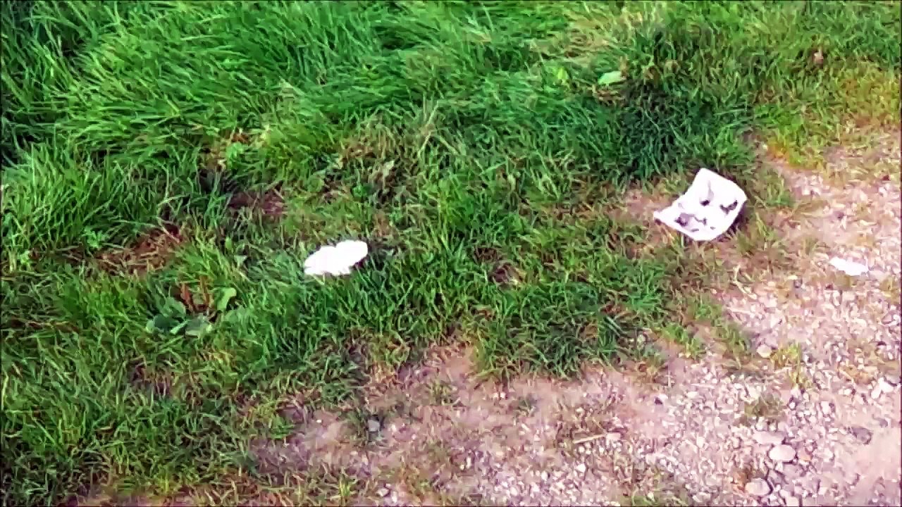 BestandAufnahme - Hetlinger Schanze Oktober 2015 /Full Film/Complete Movie/Ganzer Film