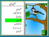 Bulbul Ka Bacha (Urdu Poem for Kids)