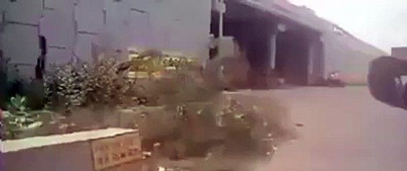 Whatsapp Short Clips 001