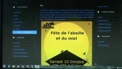 LES W-D.D. MICHOU NEWS - 10 OCTOBRE 2015 - PAU - GELOS - LA FÊTE DE L'ABEILLE ET DU MIEL