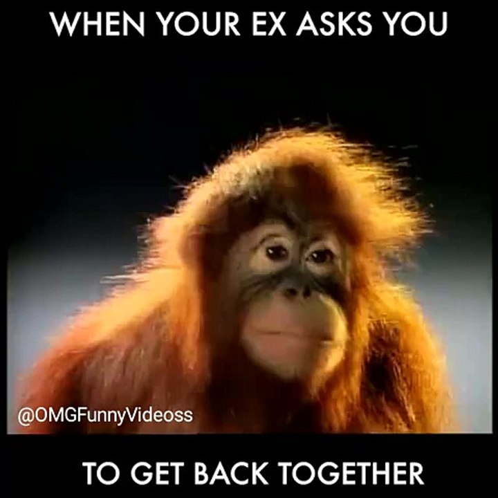 When your Ex Girlfriend asks you to get back together