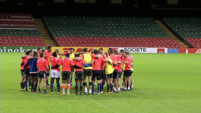 Rugby - CM : Les Bleus au révélateur irlandais