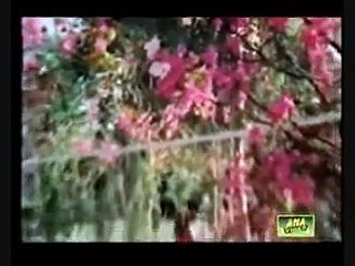 India Bollywood's Plagiarism of Pakistani Music - Part 2