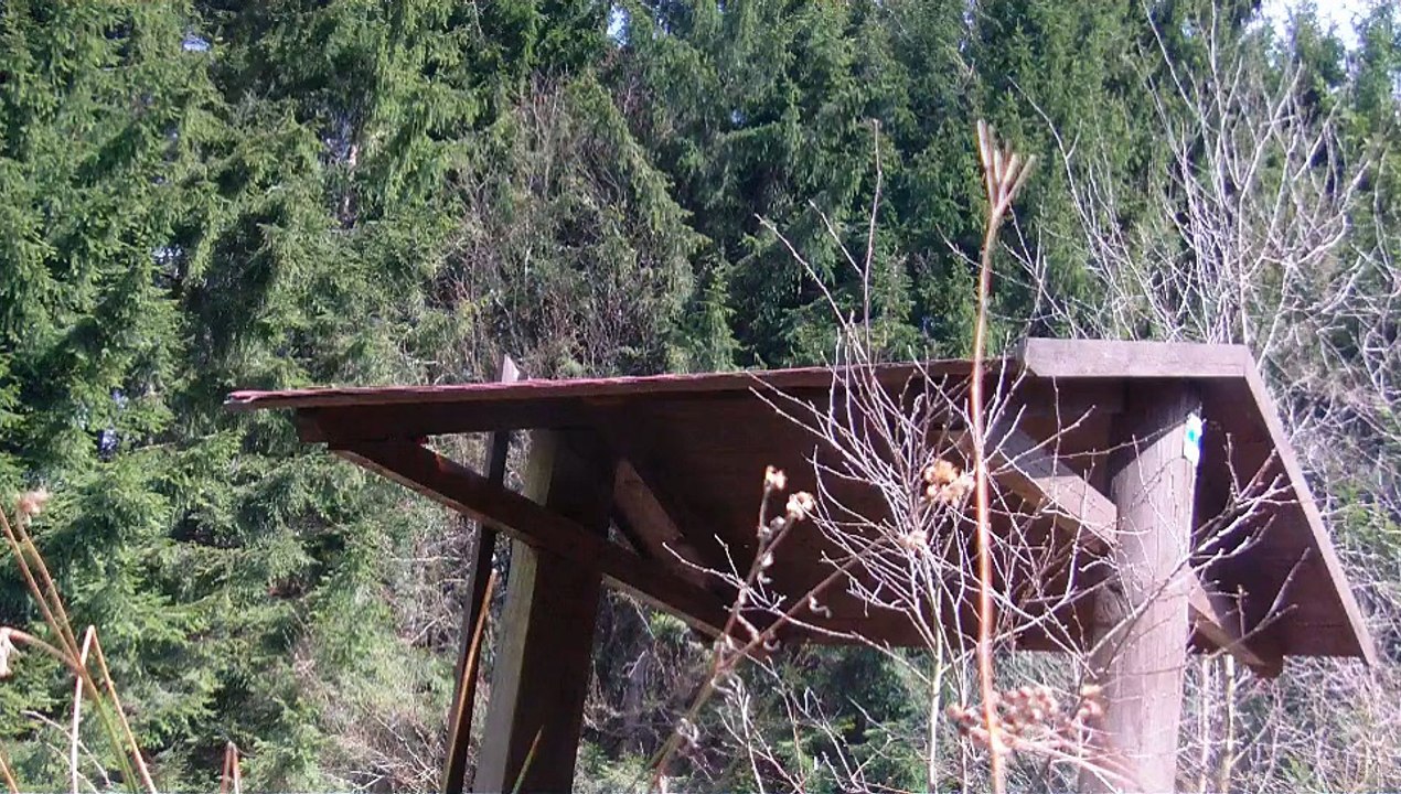 Kleine Session in der CZ