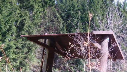 Kleine Session in der CZ