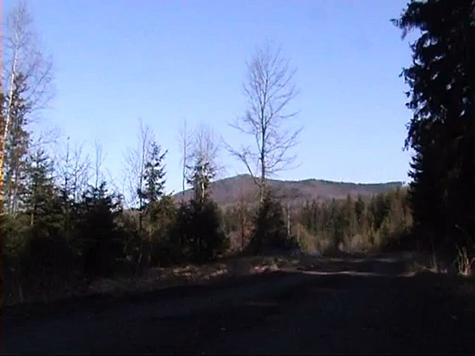 Selfmade Salutshell (Bayern Treff 1)