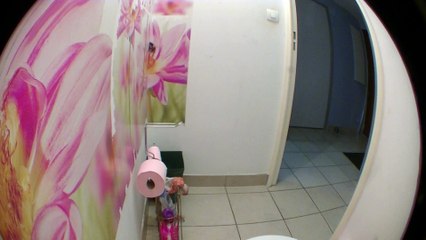 Chrono défi - le pq  express 1