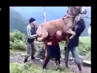 مقاطع فيديو مضحكة - لا تلعب مع الحمار