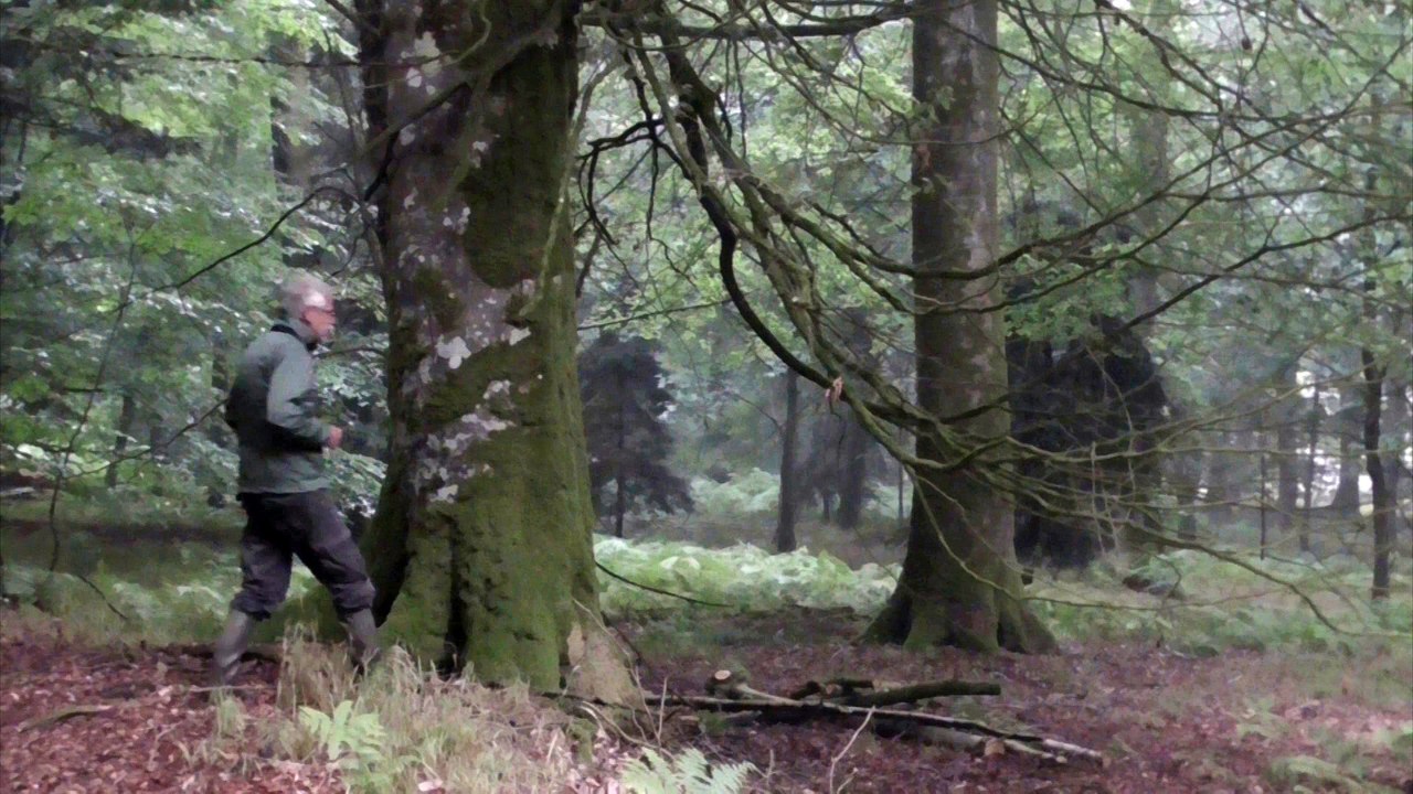 Chants de la nuit (clip)