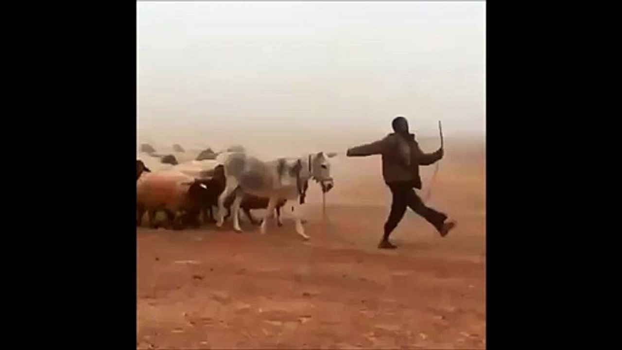 desfilar em parada com a tropa