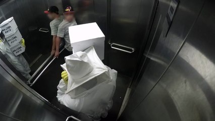 TEASER:PEGADINHAS ABELHAS