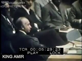 Butto Speech in Security Council