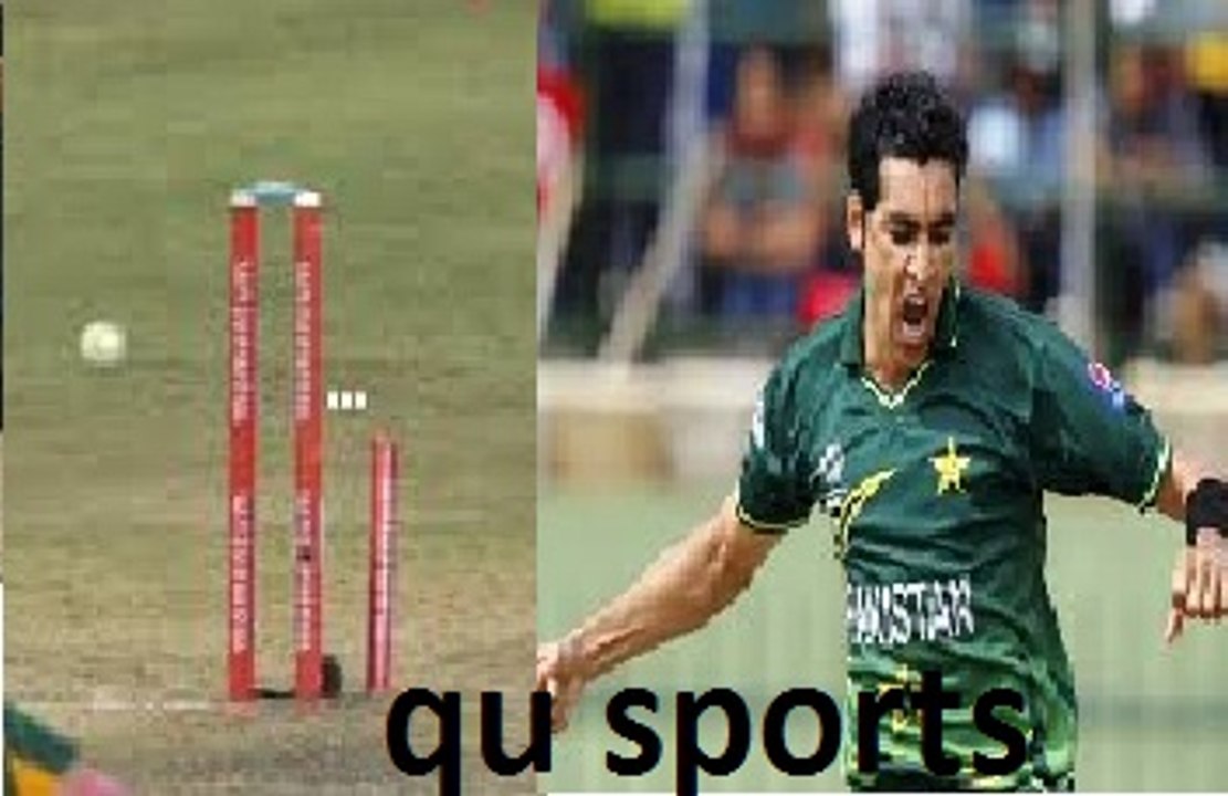 Umar Gul Breaks The Stumps Best Bowling
