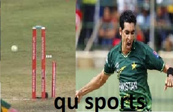 Umar Gul Breaks The Stumps Best Bowling