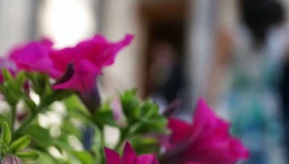 Mirjana & Nemanja Wedding