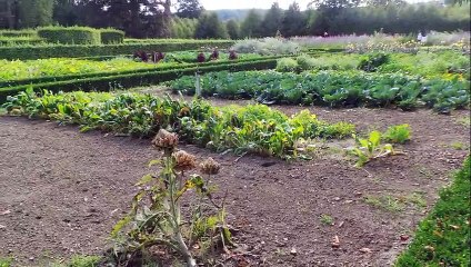 Annevoie les jardins sept 2015