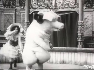 The Dancing Pig (1907)