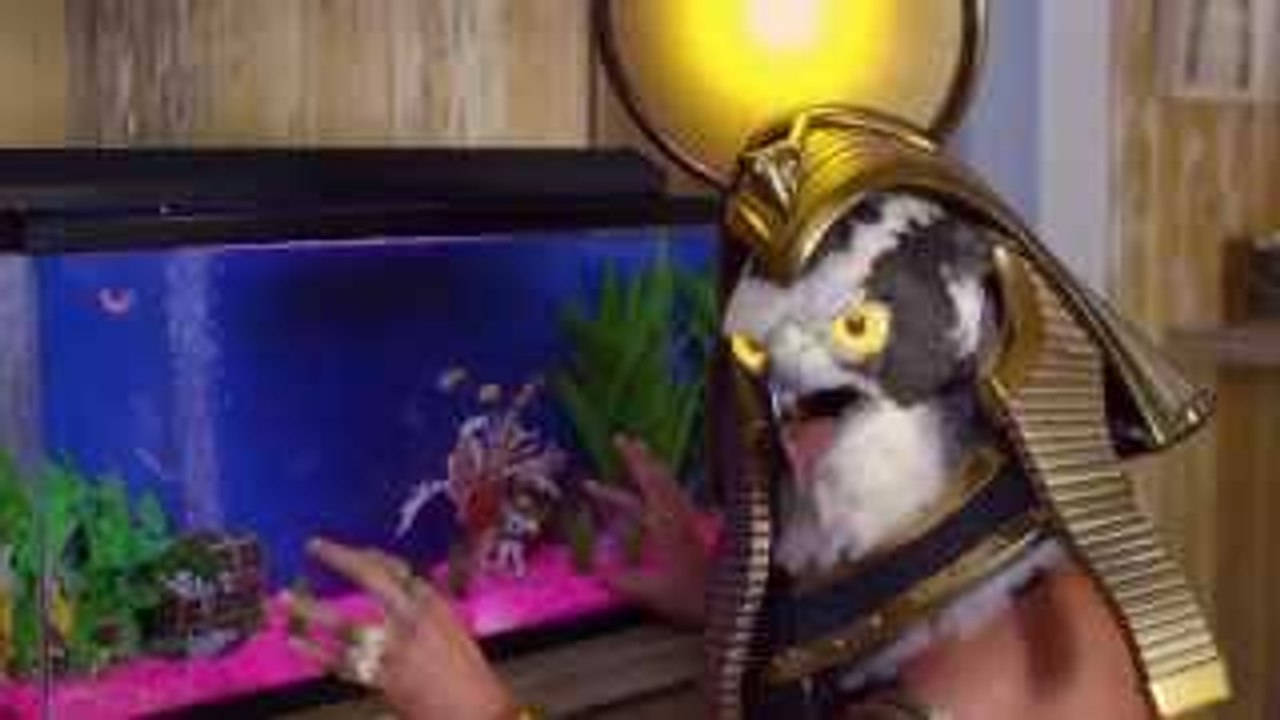 Water Cartoon Png Download 1198 762 Free Transparent Solarcity Png Download Cleanpng Kisspng