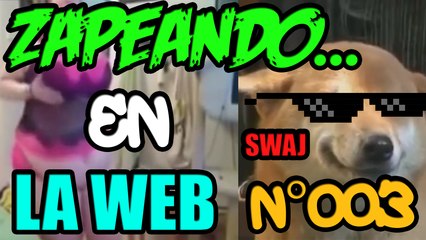 Zapeando En La Web | N° #003