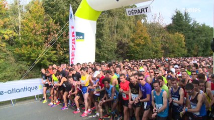 Foulées du Tram 2015 : 8 000 coureurs ont mouillé le maillot
