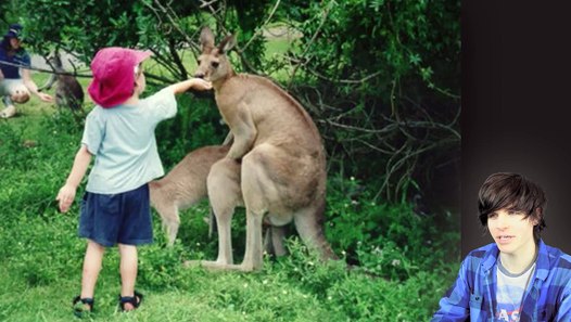 Animals Having Sex - Dailymotion Video