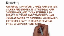 argan oil for hair Benefits And Uses - argan oil home
