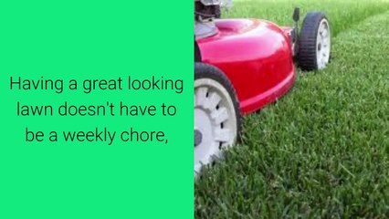 Lawn Care Service Naperville Illinois - Call (630) 236-1885