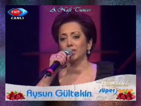 Aysun GÜLTEKİN *Altun Hızmav Mülâyim* (4)